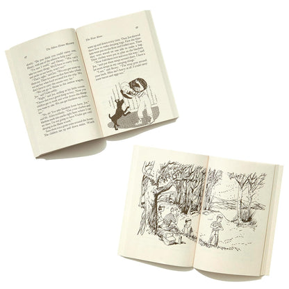 The Boxcar Children Mysteries Boxed Set 1-4: the Boxcar Children; Surprise Islan