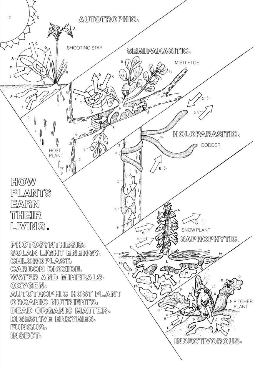 The Botany Coloring Book