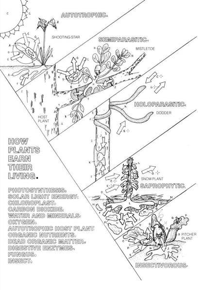 The Botany Coloring Book
