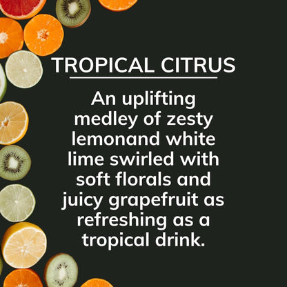 on the Go Odor Absorbing Solid Air Freshener, Tropical Citrus, 8-Ounce