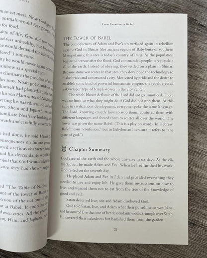 The Whole Bible Story: Everything That Happens in the Bible in Plain English (A