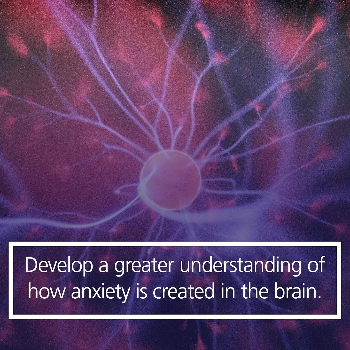 Rewire Your Anxious Brain: How to Use the Neuroscience of Fear to End Anxiety, P