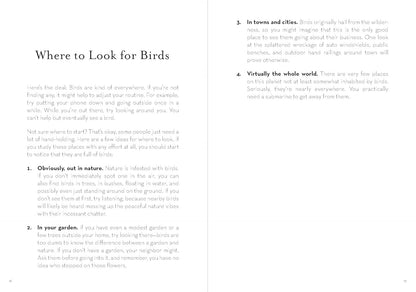 A Dumb Birds Field Guide to the Worst Birds Ever