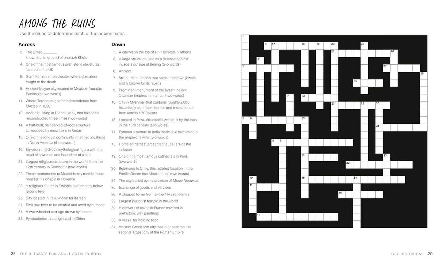 The Ultimate Fun Adult Activity Book: Logic Puzzles, Sudoku, Mazes, Word Searche