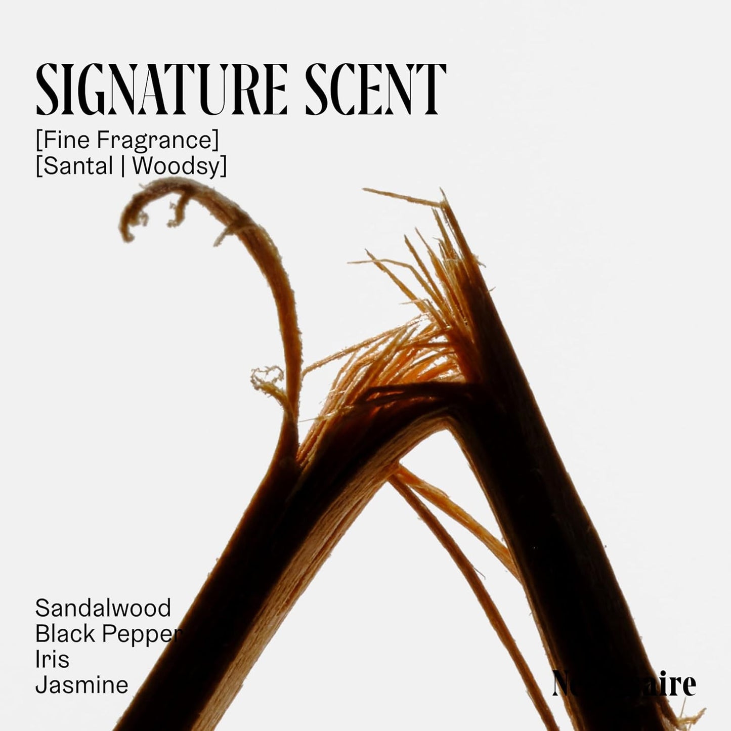 the Body Wash Santal. Natural Body Wash for Women & Men, Therapeutic Shower Gel