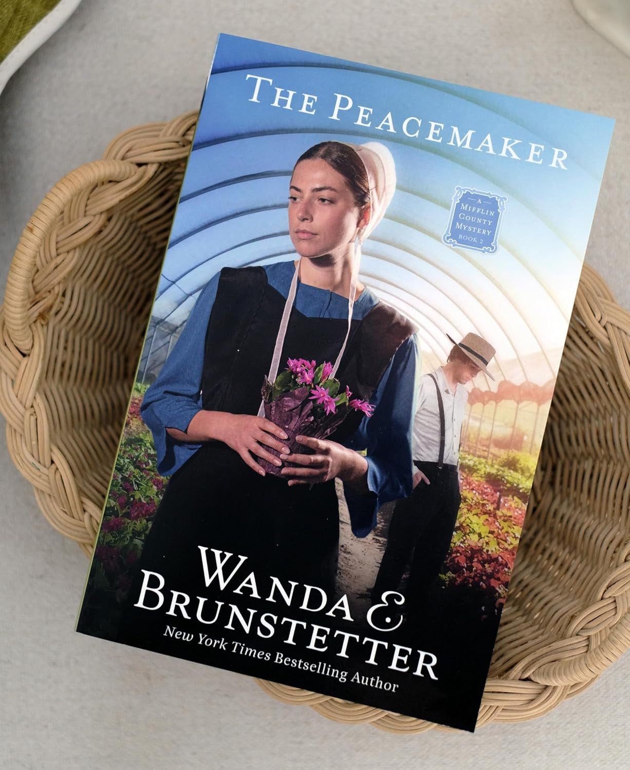 The Peacemaker (A Mifflin County Mystery, 2)