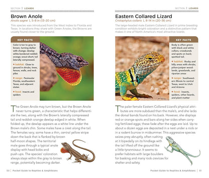 National Geographic Pocket Guide to Reptiles and Amphibians of North America