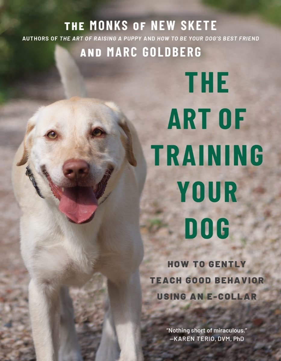 The Art of Training Your Dog: How to Gently Teach Good Behavior Using an E-Colla