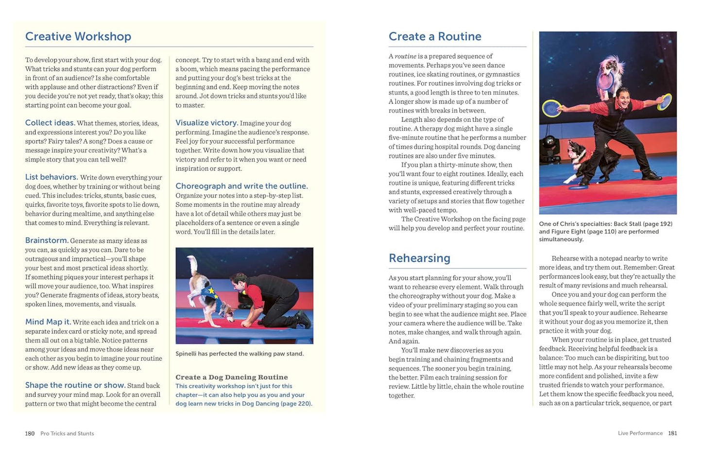 The Big Book of Tricks for the Best Dog Ever: a Step-By-Step Guide to 118 Amazin