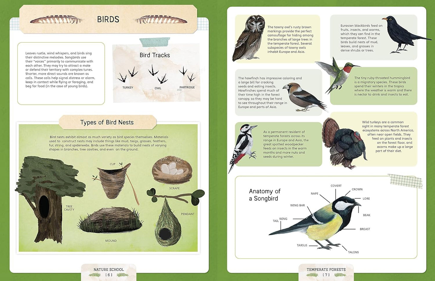 Nature School: Lessons and Activities to Inspire Children'S Love for Everything