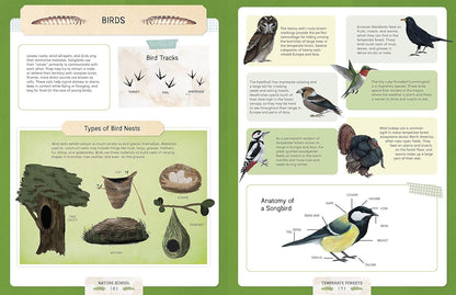 Nature School: Lessons and Activities to Inspire Children'S Love for Everything