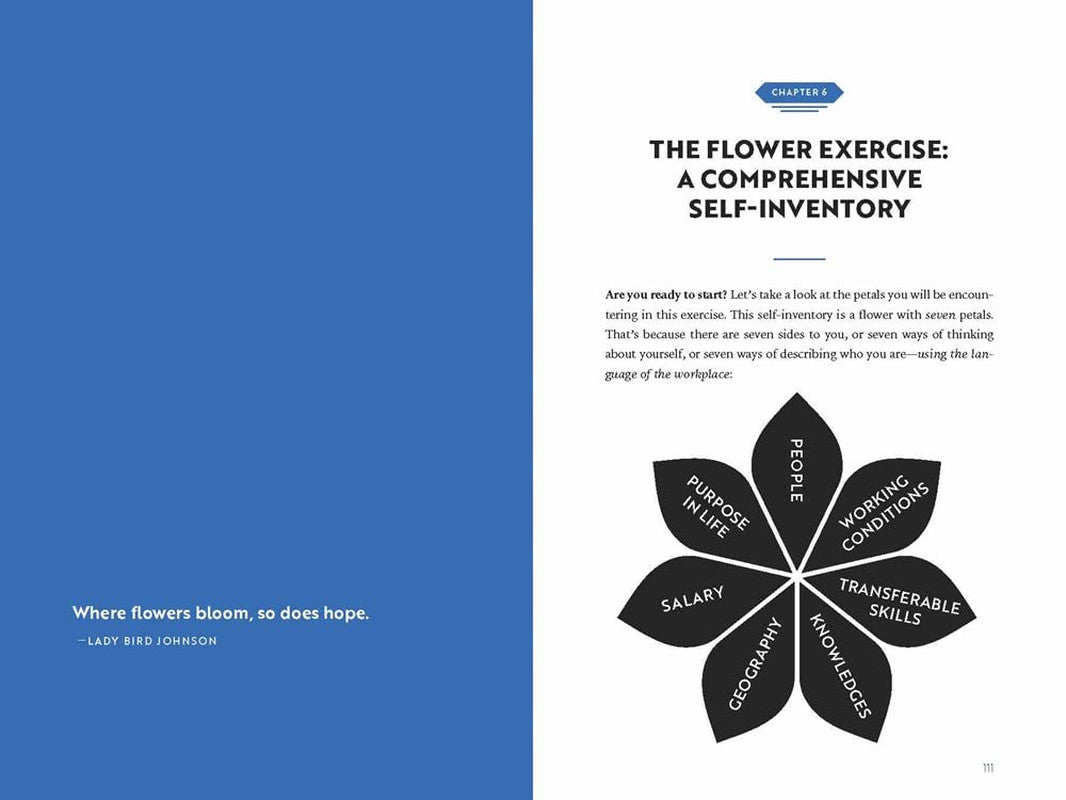 What Color Is Your Parachute?: Your Guide to a Lifetime of Meaningful Work and C