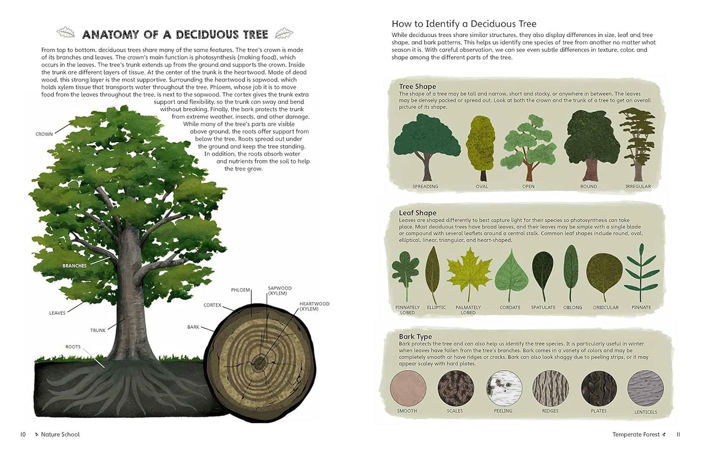 Nature School: Lessons and Activities to Inspire Children'S Love for Everything