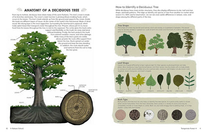 Nature School: Lessons and Activities to Inspire Children'S Love for Everything