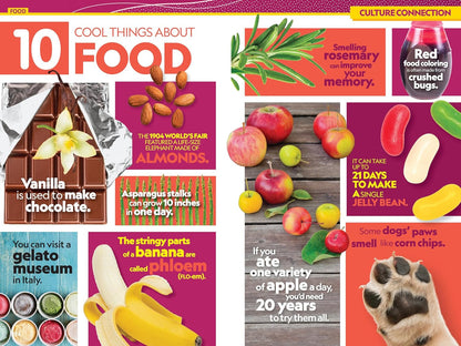 National Geographic Kids Almanac 2026 (NGK Almanac)