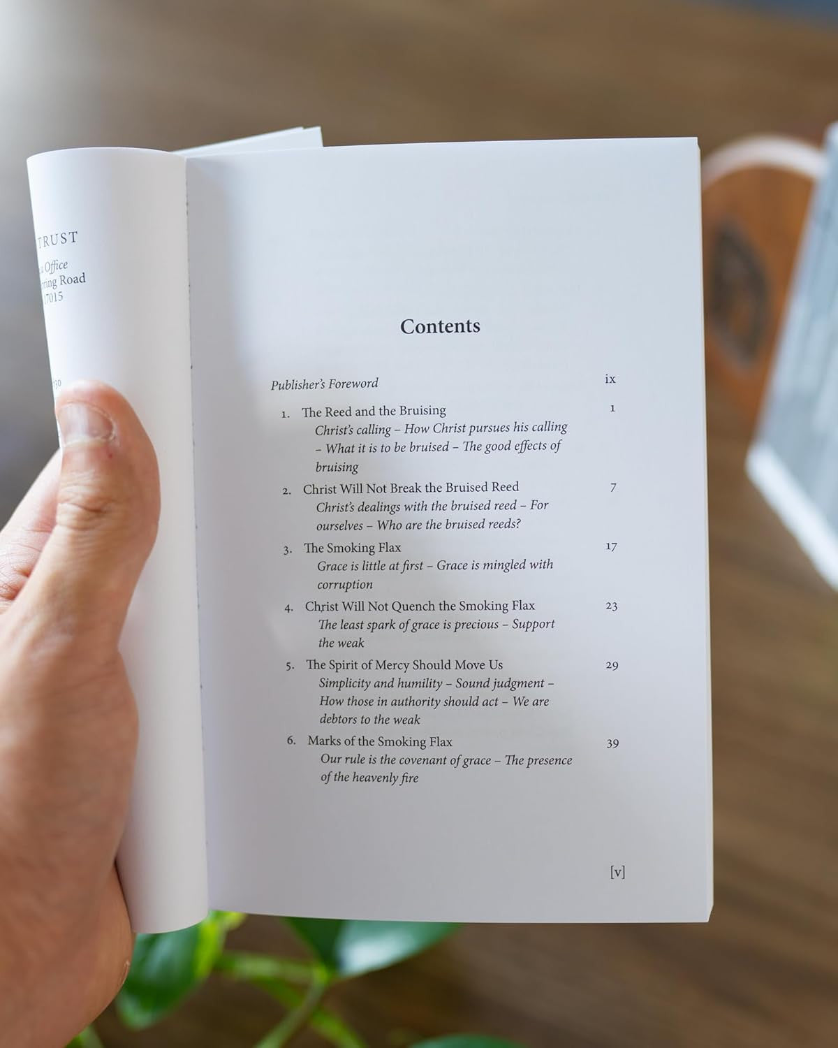 The Bruised Reed (Puritan Paperbacks)