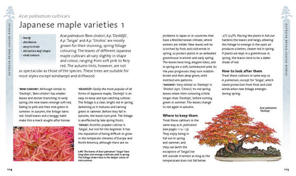 The Bonsai Beginner'S Bible