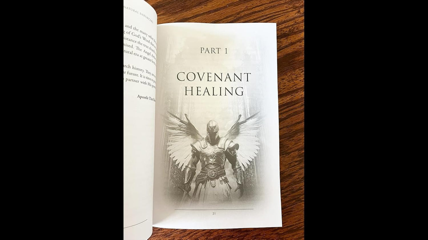 Angel Armies: God'S Supernatural Enforcers: the Angel Gate Is Open: Signs, Wonde