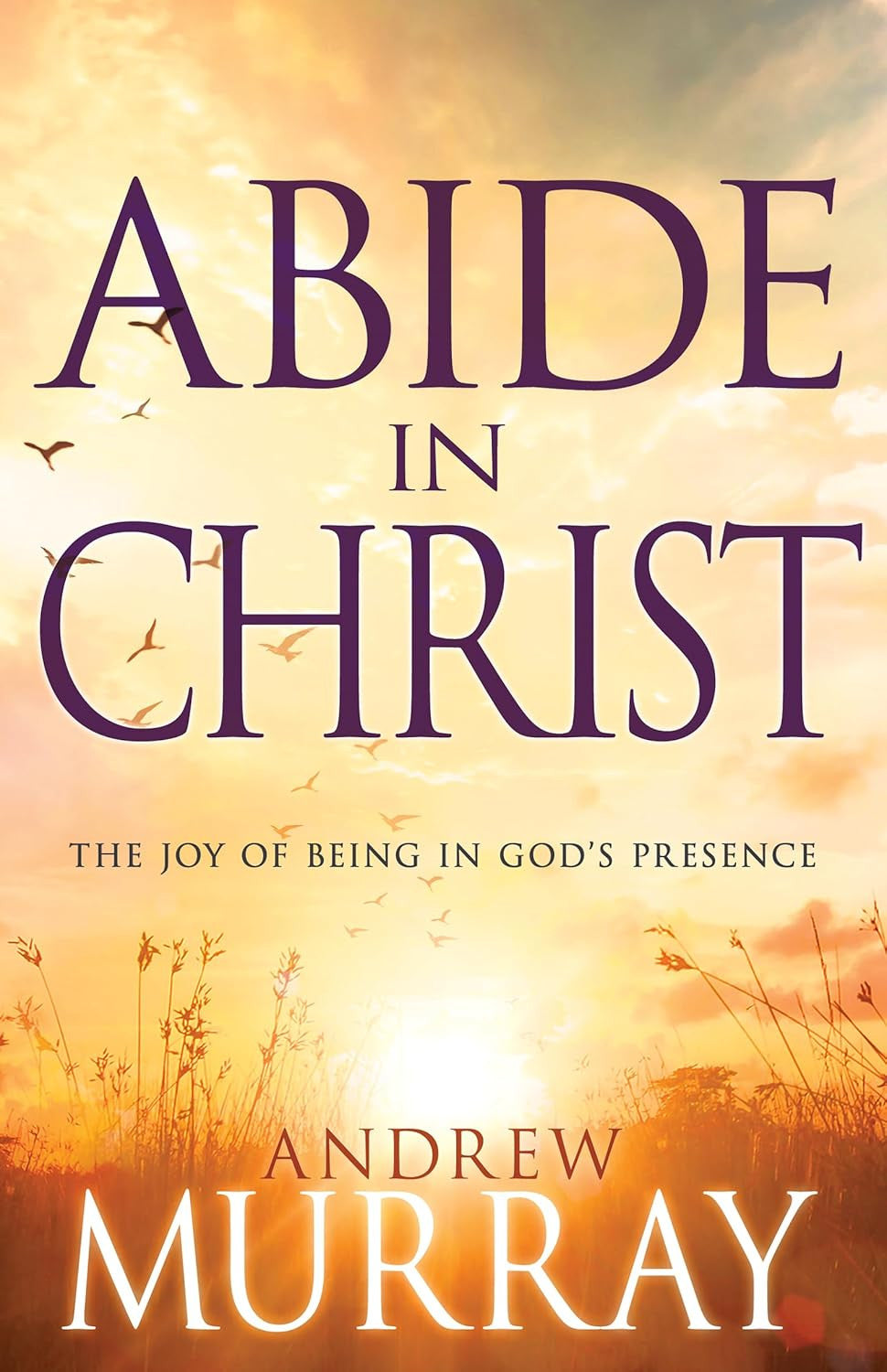 Abide in Christ: the Joy of Being in God'S Presence