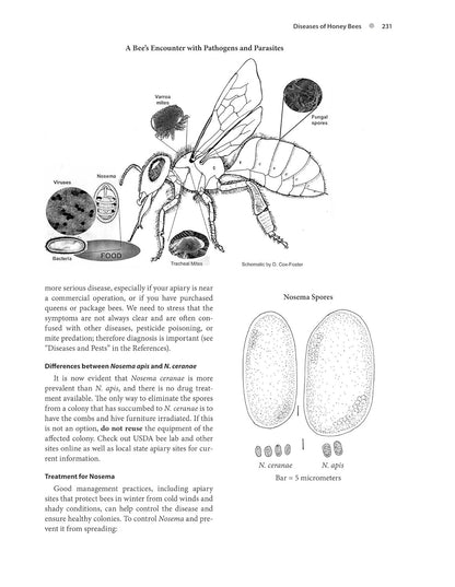 The Beekeeper'S Handbook