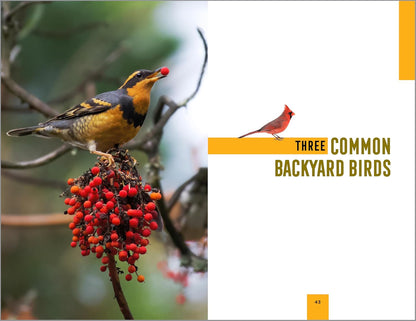 North American Bird Watching for Beginners: Field Notes on 150 Species to Start