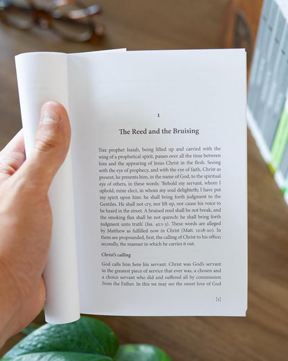 The Bruised Reed (Puritan Paperbacks)