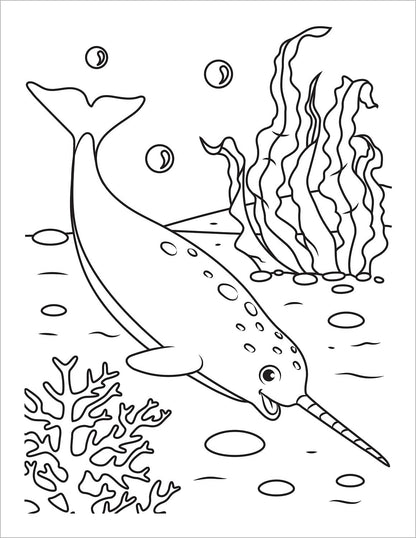 Ocean Coloring Book: Fish & Underwater Sea Animals to Color for Kids Ages 4-8 (C