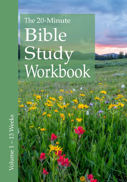 The 20-Minute Bible Study Workbook - Volume 1: John, Romans, Ruth, Exodus 1-24 a