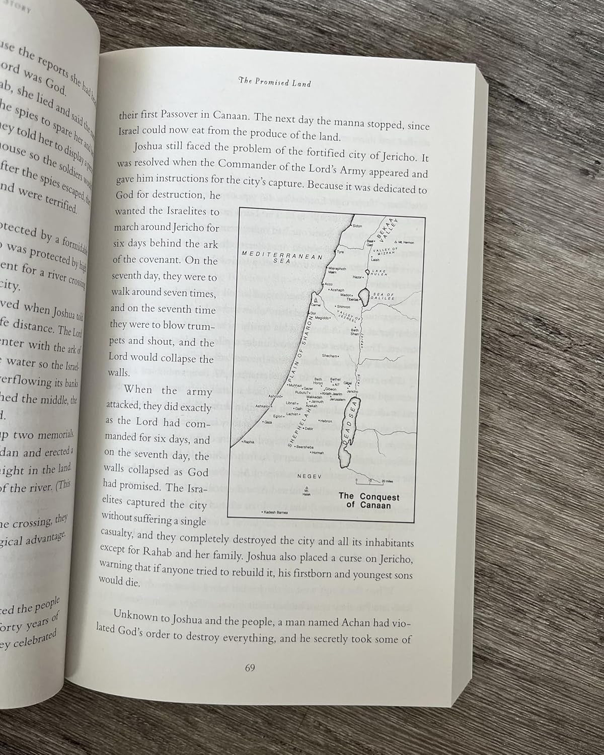 The Whole Bible Story: Everything That Happens in the Bible in Plain English (A