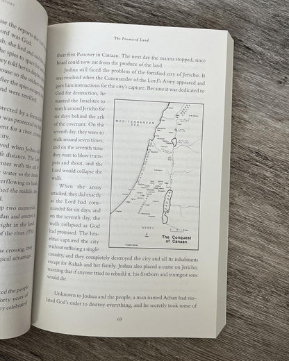 The Whole Bible Story: Everything That Happens in the Bible in Plain English (A