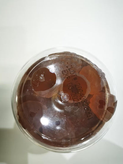 Turmeric Curcumin Gummies with Black Pepper 2 Pack, Turmeric and Ginger Suppleme