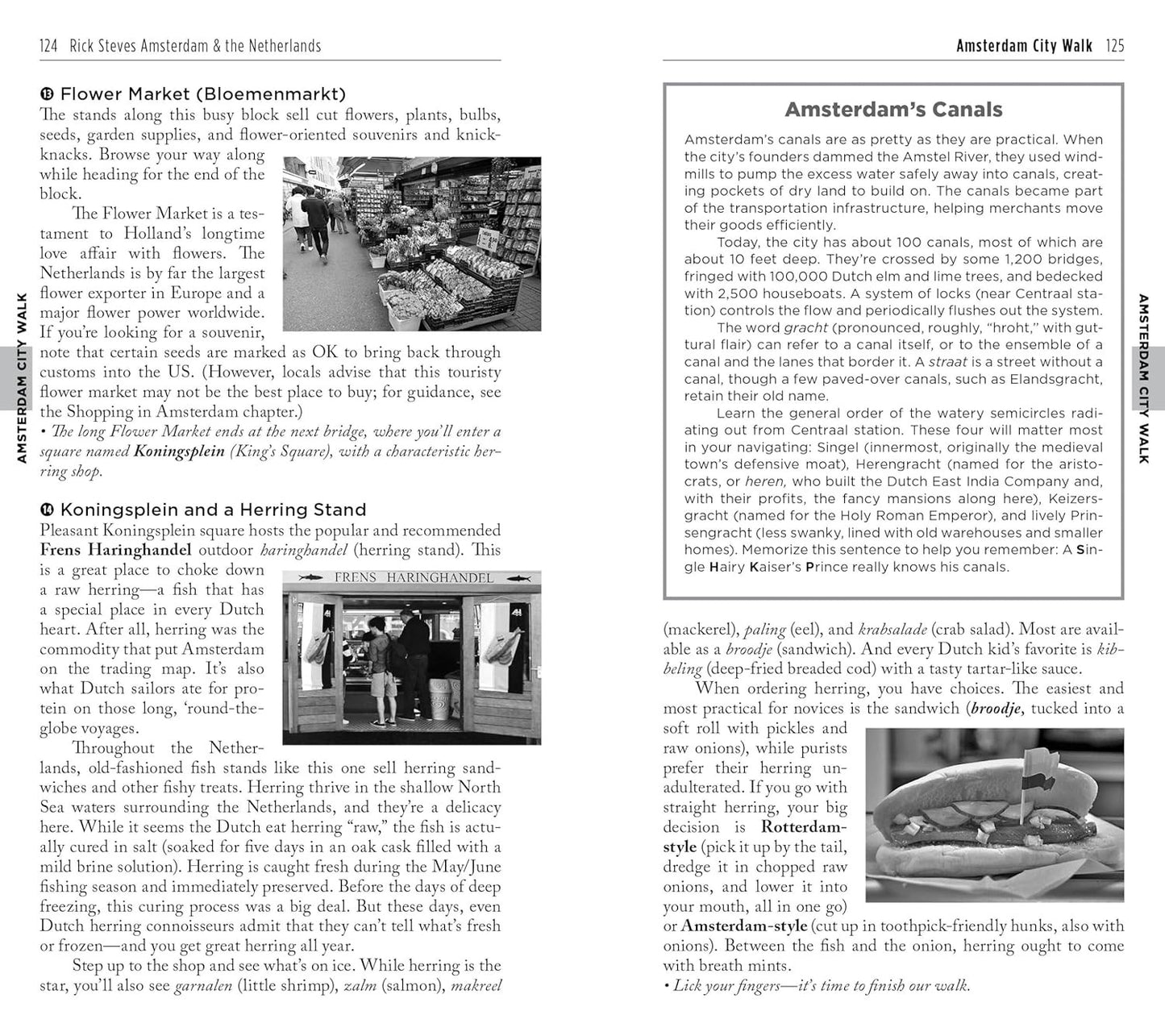 Rick Steves Amsterdam & the Netherlands (Rick Steves Travel Guide)