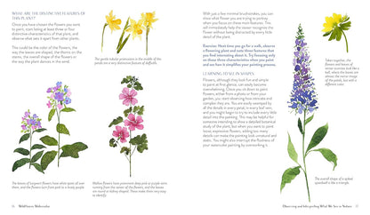 Wildflower Watercolor: the Beginner’S Guide to Painting Beautiful Florals