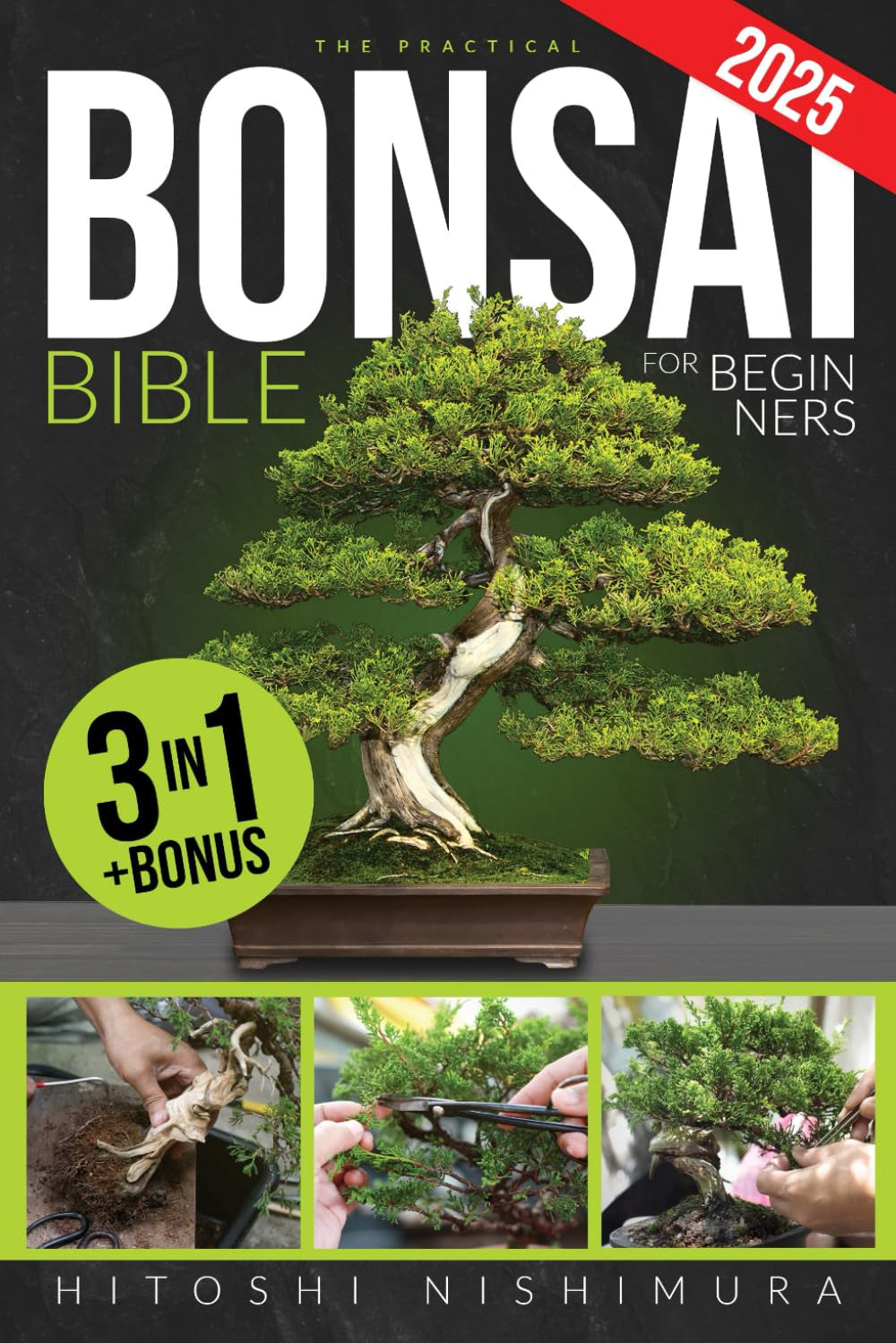 The Practical Bonsai Bible for Beginners: Discover All the Secrets of This Ancie