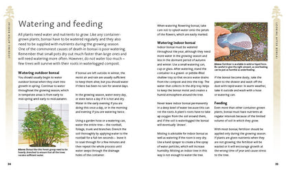 The Bonsai Beginner'S Bible