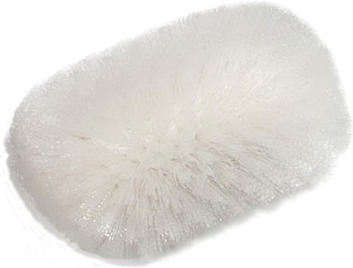 Spectrum Tank and Kettle Scrub Brush Head Heavy-Duty Tile Brush, Handle Compatib