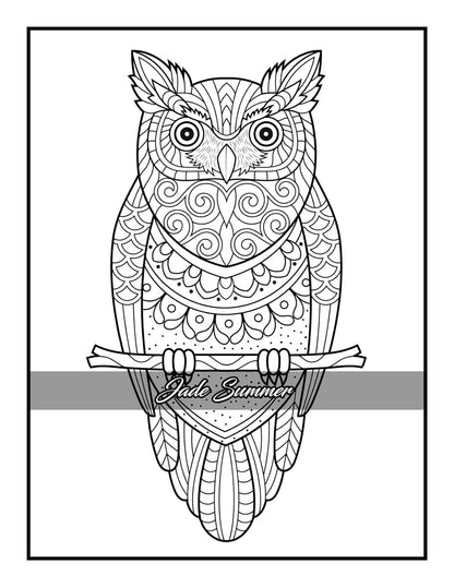 100 Animals: an Adult Coloring Book with Lions, Elephants, Owls, Horses, Dogs, C