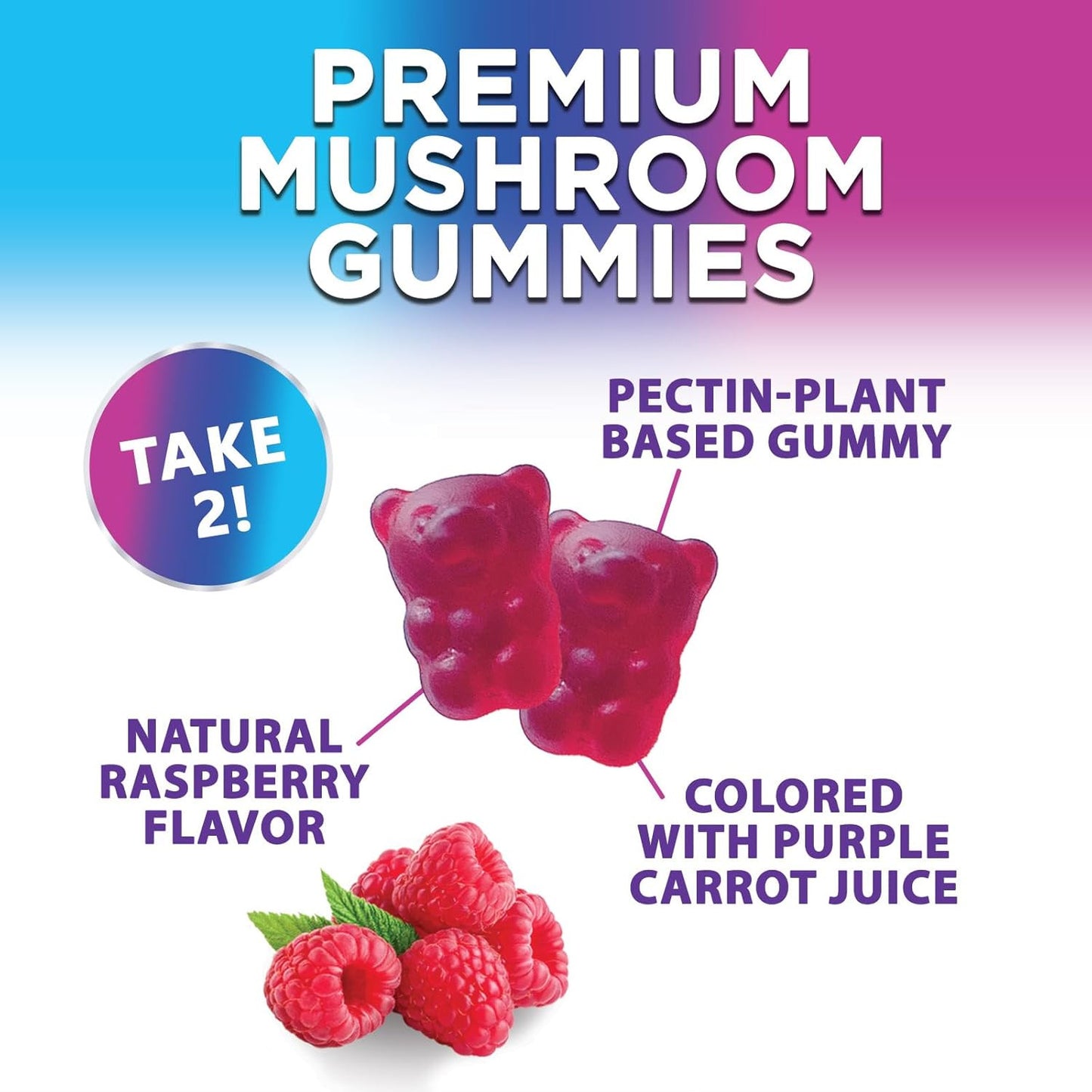 Mushroom Supplement Gummies - 12 in 1 with Lions Mane, Reishi, Cordyceps, Chaga