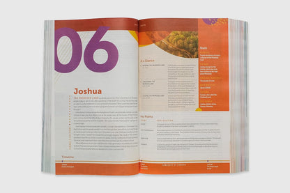 NLT Student Life Application Study Bible, Filament Enabled (Softcover, Red Lette