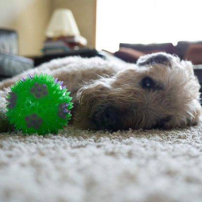 3.5” Squeak & Light Soccer Ball Dog Toy - Medium, Cleans Teeth and Promotes Dent
