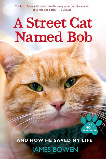 A Street Cat Named Bob: and How He Saved My Life