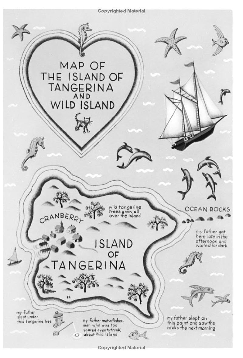 My Father'S Dragon Series (Set of THREE Books: My Father'S Dragon, Elmer and the