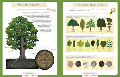 Nature School: Lessons and Activities to Inspire Children'S Love for Everything