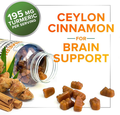 Turmeric Curcumin Supplement Gummies with Ginger & Cinnamon, 95% Curcuminoids Tu