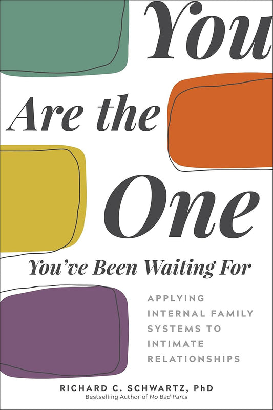 You Are the One You'Ve Been Waiting For: Applying Internal Family Systems to Int