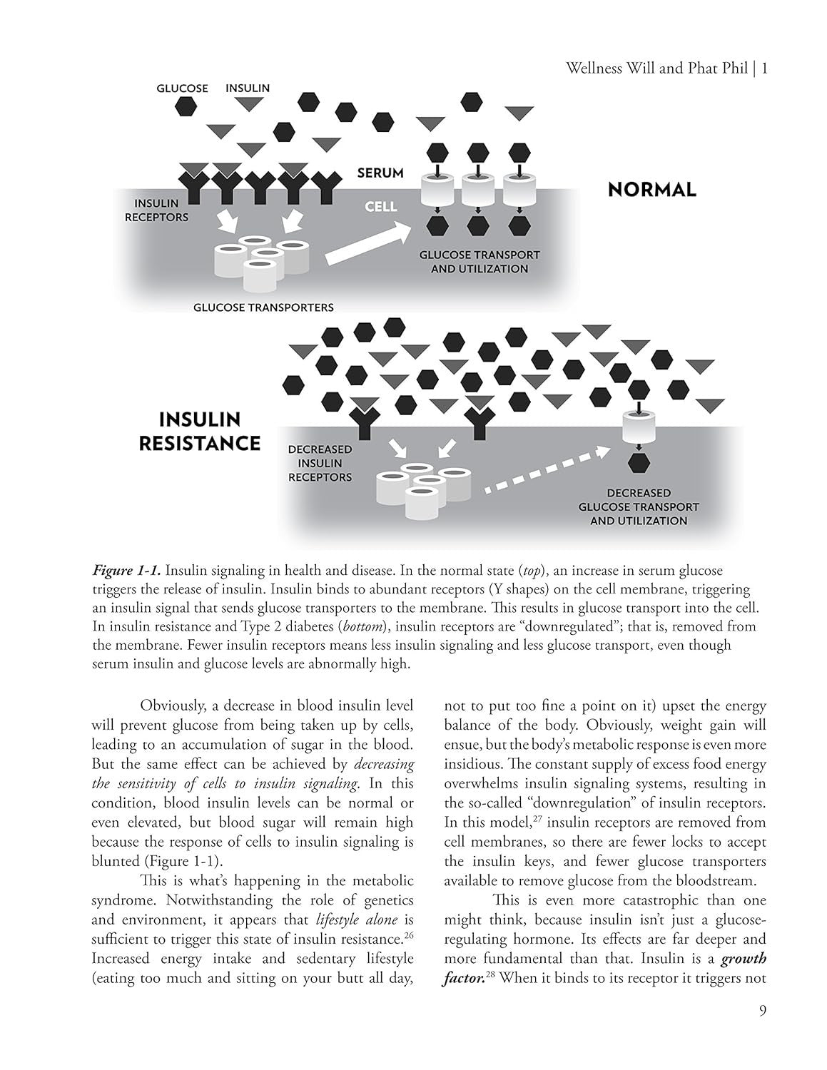 The Barbell Prescription: Strength Training for Life after 40