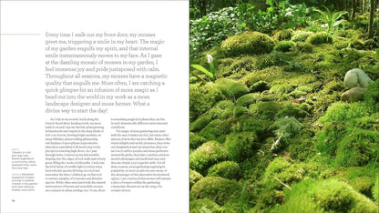 The Magical World of Moss Gardening