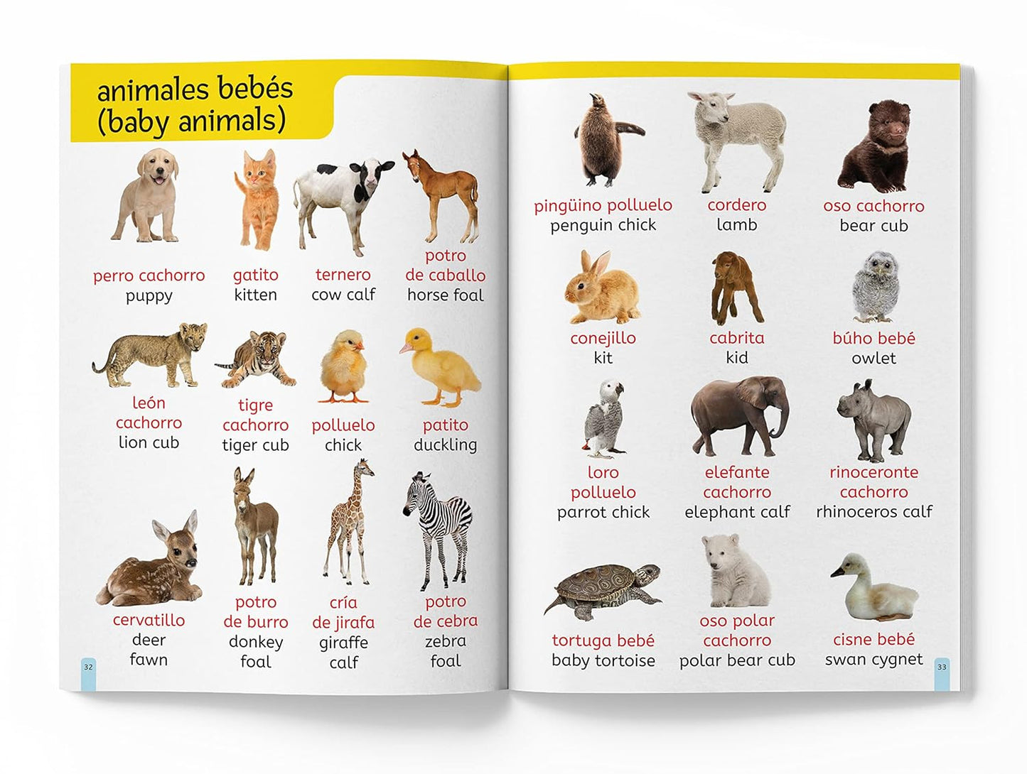 My First 1000 English-Espanol Words for Kids