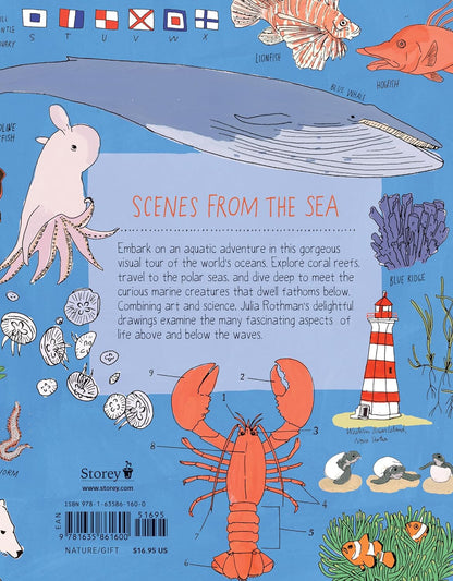Ocean Anatomy: the Curious Parts & Pieces of the World under the Sea
