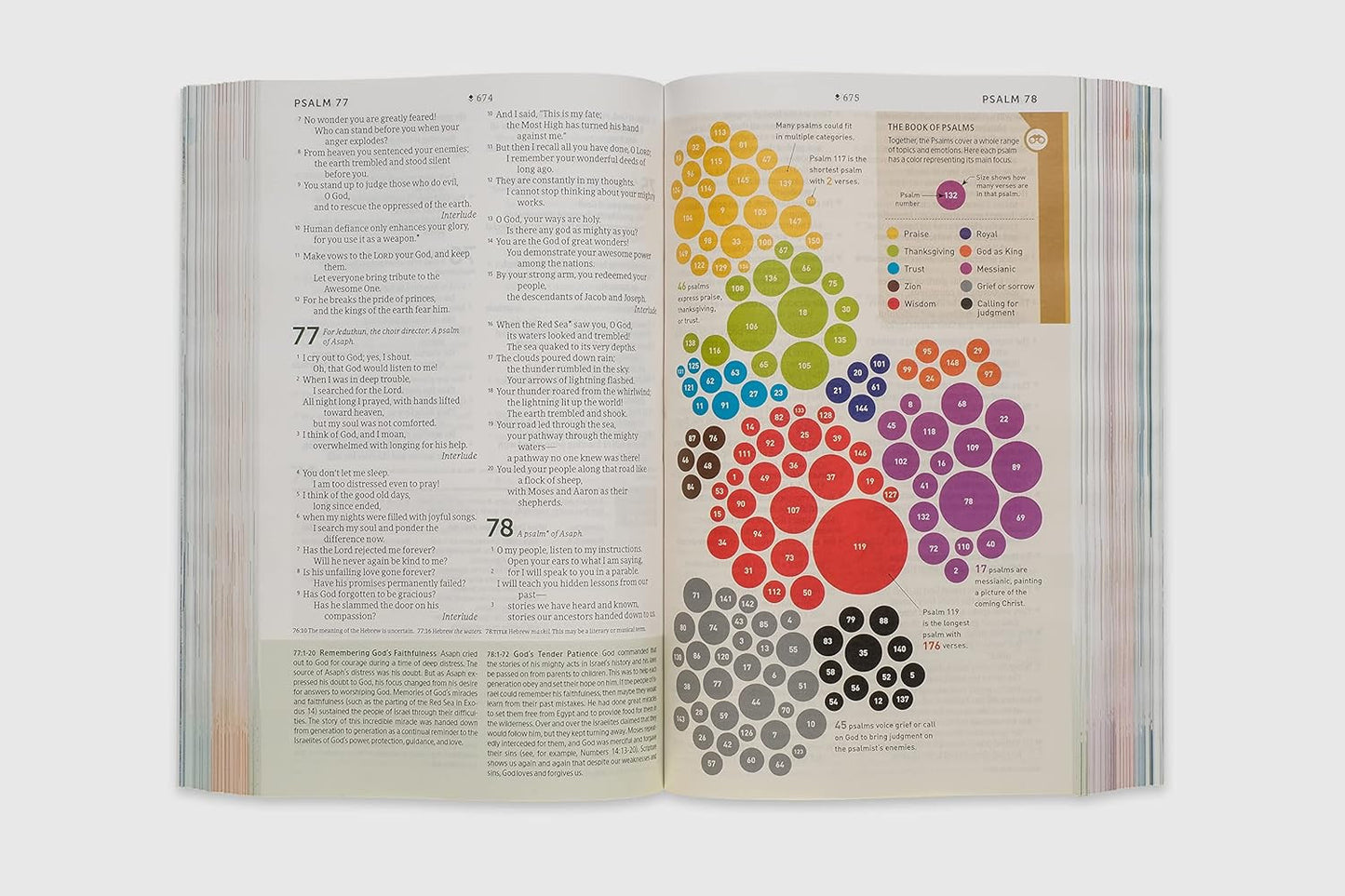 NLT Student Life Application Study Bible, Filament Enabled (Softcover, Red Lette